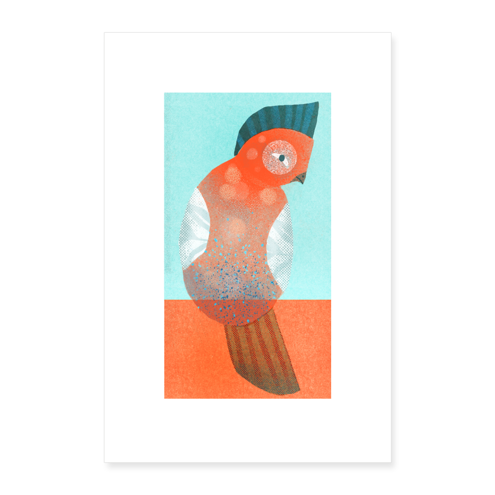 Poster 40x60 cm - Riso Print Vogel - weiß